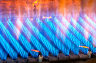 Annan gas fired boilers